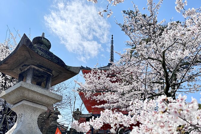 Kyoto Private Customizable Day Trip With English chauffeur - Kyoto Imperial Palace and the calm of Kyoto Gyoen
