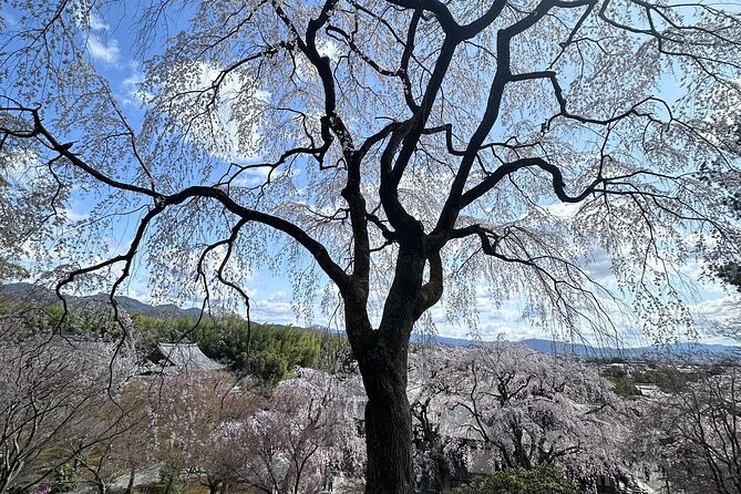 Kyoto Private Customizable Day Trip With English chauffeur - Ginkaku-ji, the Silver Pavilion that is not silver