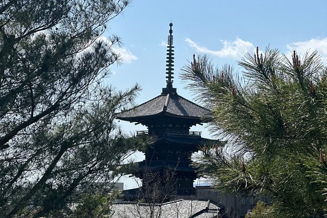 Kyoto Private Customizable Day Trip With English chauffeur - Arashiyama Bamboo Grove, a strong morning start
