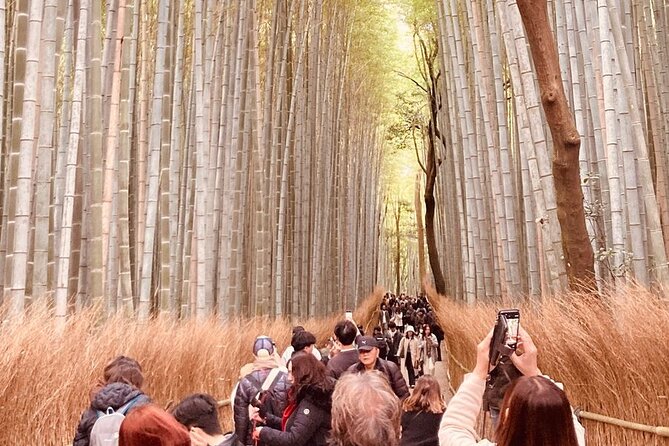 Kyoto Private & Customizable Tour with English-Speaking Driver - Why a private car helps in Kyoto