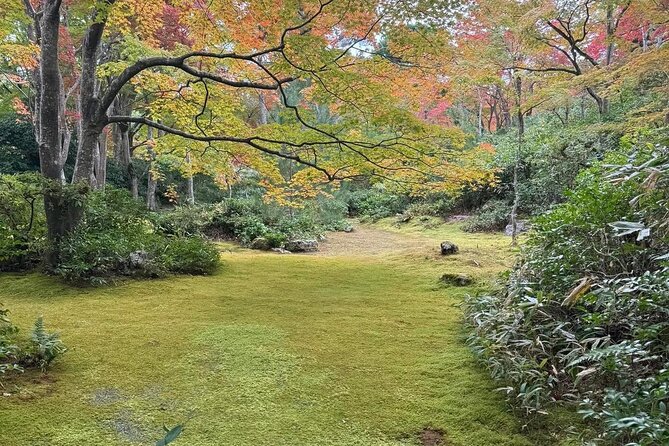 Kyoto Private & Customizable Tour with English-Speaking Driver - Kinkakuji and its gold-leaf reflection