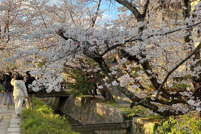 Kyoto Private & Customizable Tour with English-Speaking Driver - Kiyomizu-dera and the view over Kyoto
