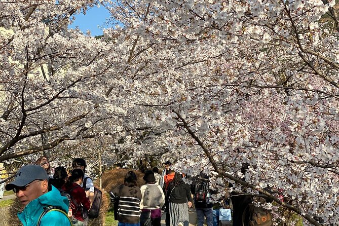 Kyoto Private & Customizable Tour with English-Speaking Driver - Sanjusangendo’s 1,001 Kannon figures