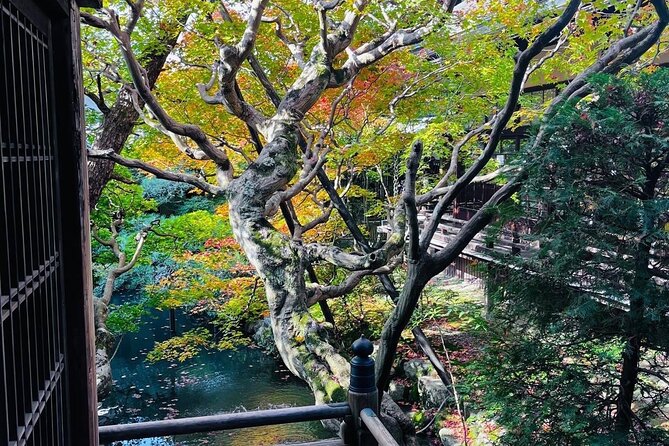 Kyoto Private & Customizable Tour with English-Speaking Driver - Arashiyama bamboo grove, Kyoto’s western starting point