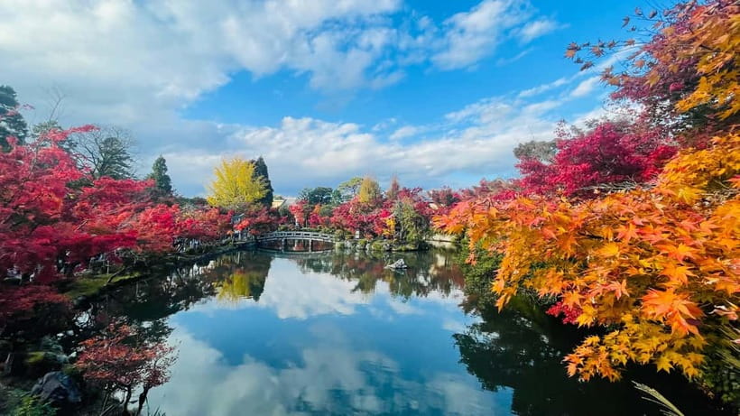 Kyoto: Private Customized Tour With English Speaking Guide - The missing Golden Pavilion question