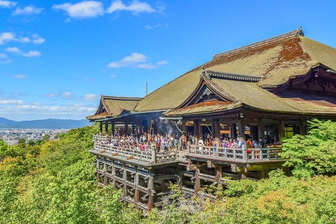 Kyoto Private Day Trip - Enjoy Your First-Time Visit to Kyoto! - Nijo Castle and the Tokugawa chapter