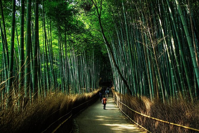 Kyoto: Private Flexible 3 hours tour with a local guide - Gion, traditional streets, and a slower pace