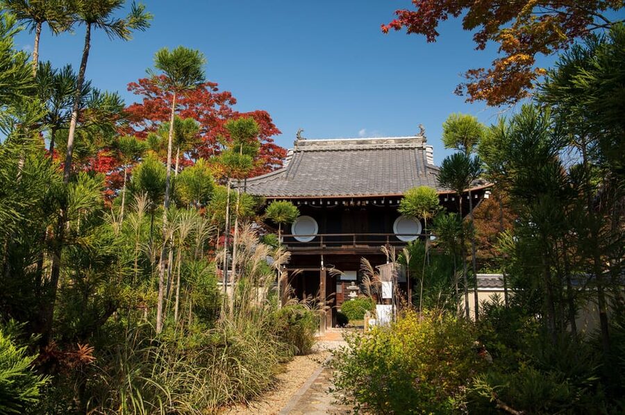 Kyoto: Private Full-Day Customizable World Heritage Tour - What the guide adds
