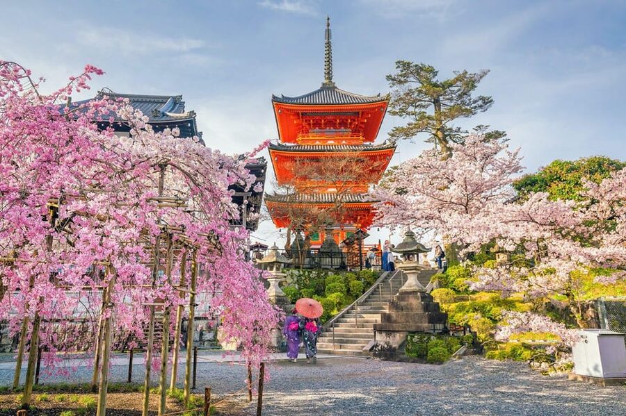 Kyoto: Private Highlights Tour with Guide and Luxury Vehicle - What the vehicle and guide add