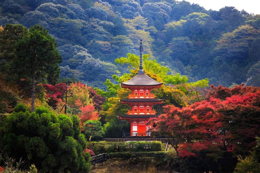 Kyoto: Private Highlights Tour with Guide and Luxury Vehicle - Fushimi Inari makes you choose how far to walk