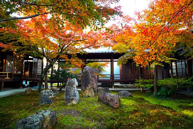 Kyoto Private Tour: One Day Highlights and Cultural Gems - Fushimi Inari’s red torii gates