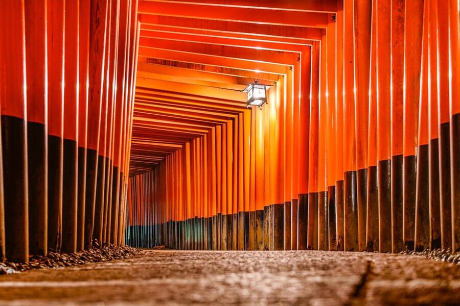 Kyoto: Private tour with Kyoto's licensed guide. Spanish - A useful private tour for Kyoto’s first big sweep