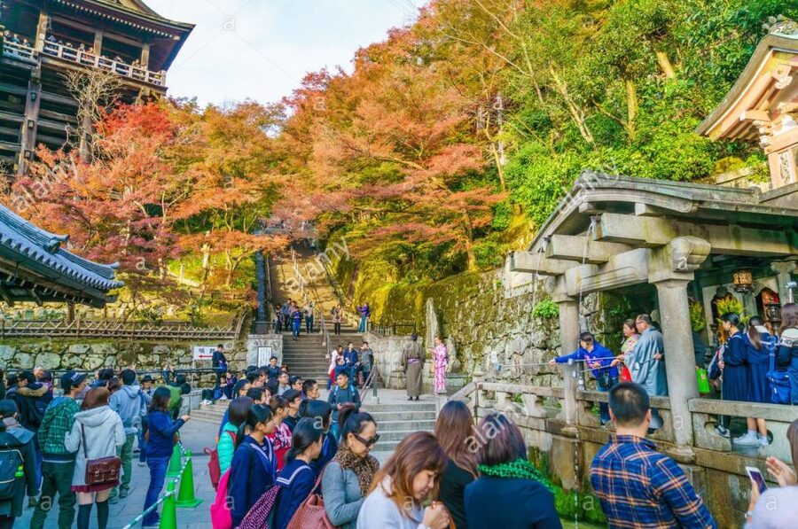 Kyoto: Private Tour with Local Licensed Guide - Four hours: choose a compact Kyoto introduction