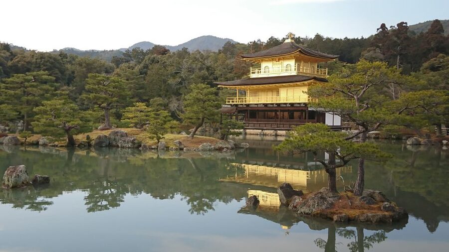 Kyoto: Private Walking Tour with a Local - What this Kyoto walk is really like