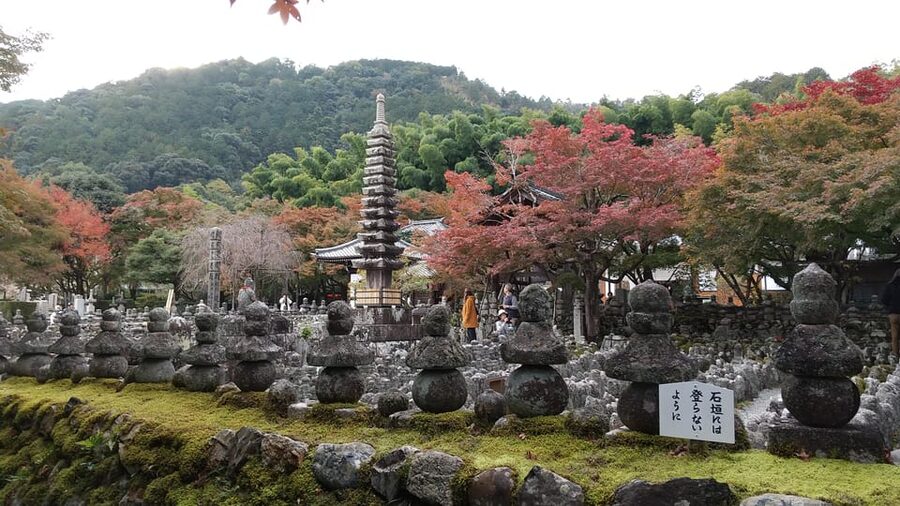 Kyoto:Quiet Arashiyama and Sagano Temples - Key points to know before you book