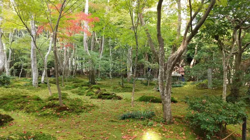 Kyoto:Quiet Arashiyama and Sagano Temples - Why this Arashiyama walk feels different