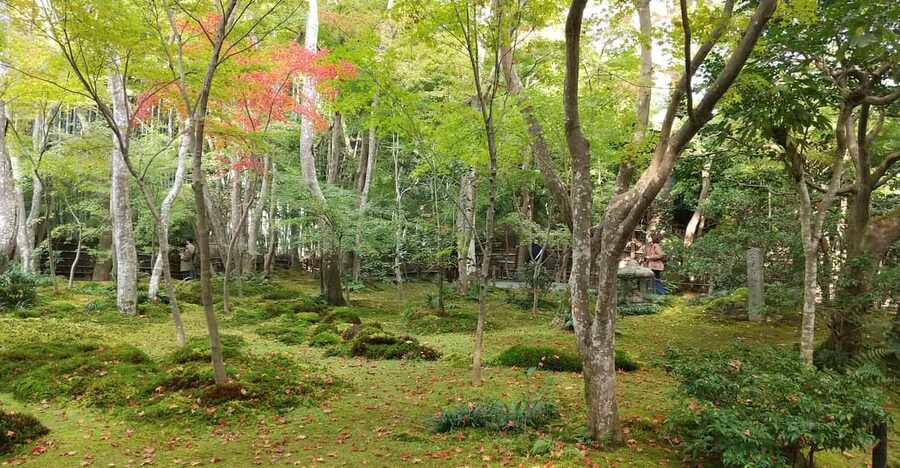 Kyoto:Quiet Arashiyama and Sagano Temples - Adashino Nenbutsuji and the stones of the dead