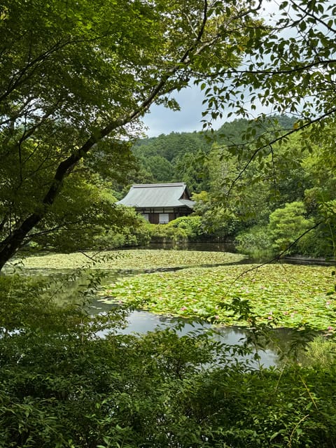 Kyoto: Ryōan-ji, Greatest Zen Garden Guided Tour in 90 Min. - Reading the famous rock garden