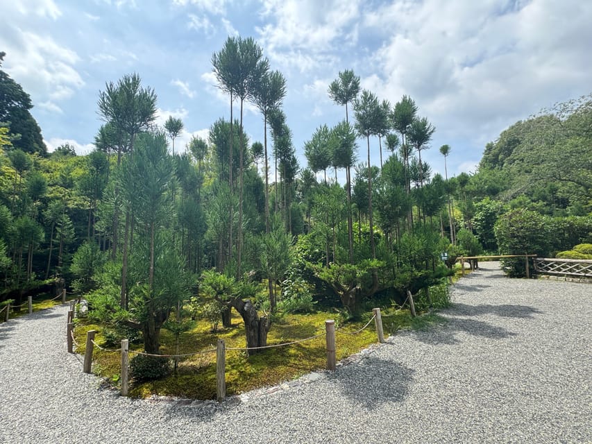 Kyoto: Ryōan-ji, Greatest Zen Garden Guided Tour in 90 Min. - The 15-minute viewpoint stop