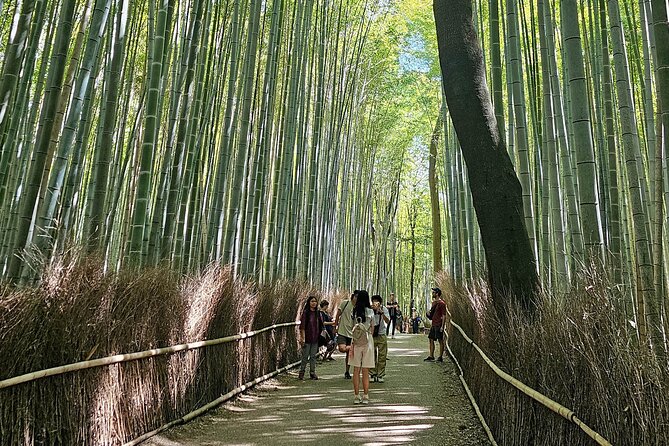 Kyoto's Arashiyama Bamboo Grove: 3-Hour Guided Tour - Key Points to Know Before You Go