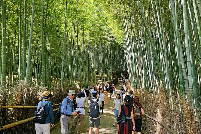 Kyoto's Arashiyama Bamboo Grove: 3-Hour Guided Tour - Okochi Sanso Garden and the Extra ¥1,000