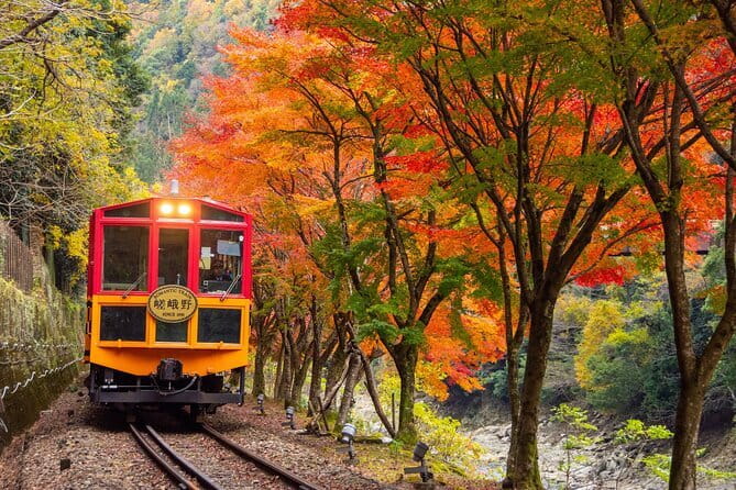 Kyoto Sagano Romantic Train in Arashiyama Bus Tour - Starting early at Kyoto Station