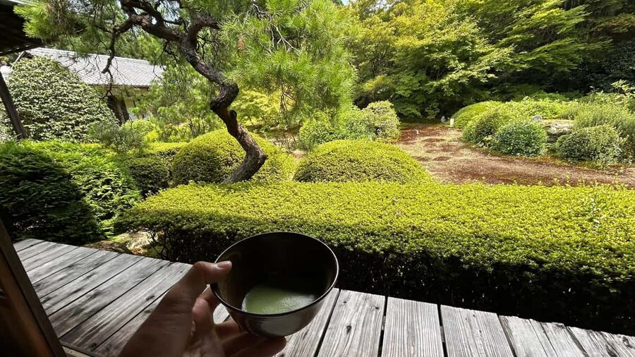 Kyoto: Shakyo & Matcha in Historic Temple Garden - Why this Kyoto activity feels different