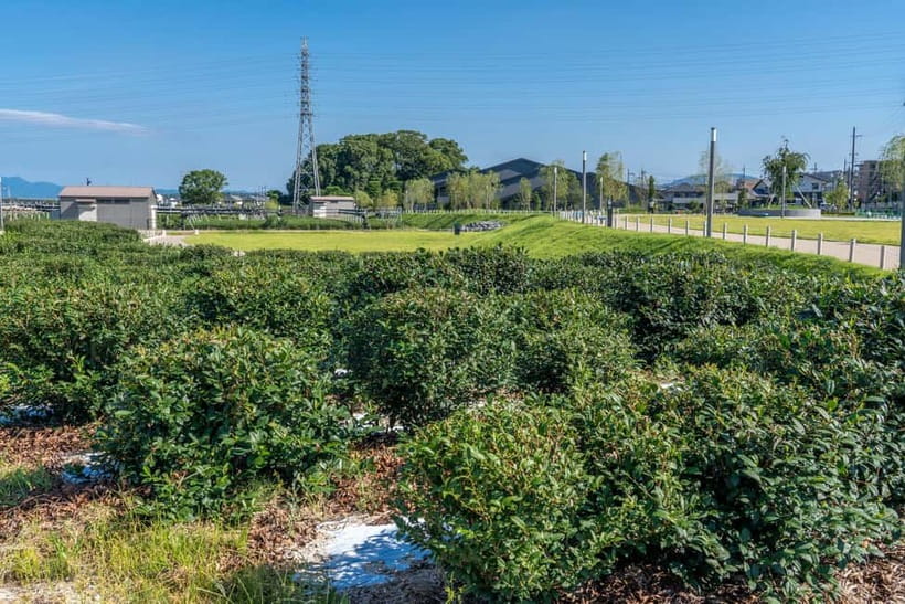 Kyoto: Tea Museum Tickets and Matcha Grinding Experience - Planning the hour without a rush