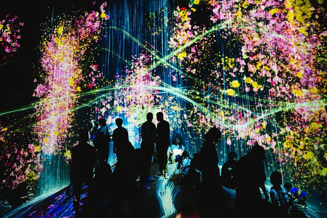 Kyoto TeamLab Biovortex & Kyoto Walking Tour - From Nishi Honganji’s Gate to TeamLab’s Digital Rooms