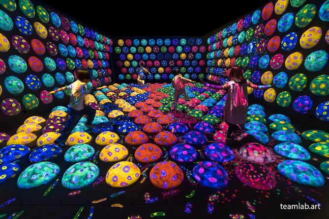 Kyoto TeamLab Biovortex & Kyoto Walking Tour - How the $72 Price Works