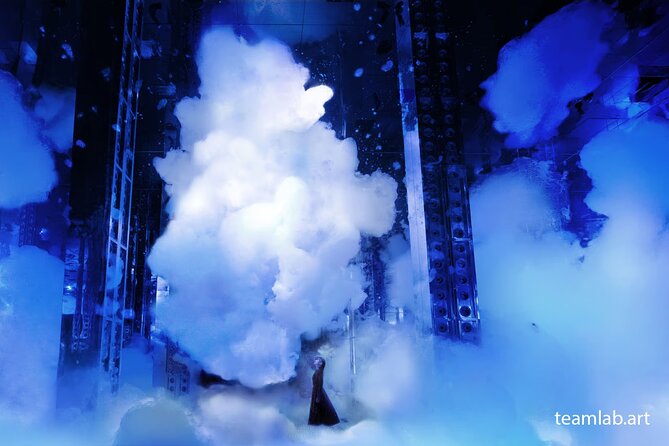 Kyoto TeamLab Biovortex & Kyoto Walking Tour - Who Will Get the Most From This Tour