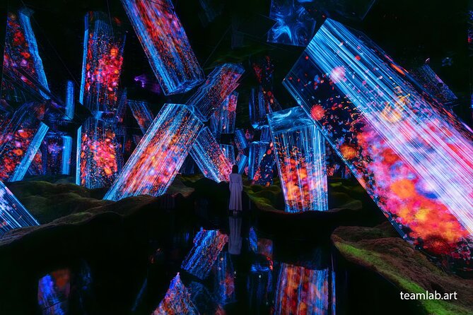 Kyoto TeamLab Biovortex & Kyoto Walking Tour - Should You Book the Kyoto TeamLab Biovortex Tour?