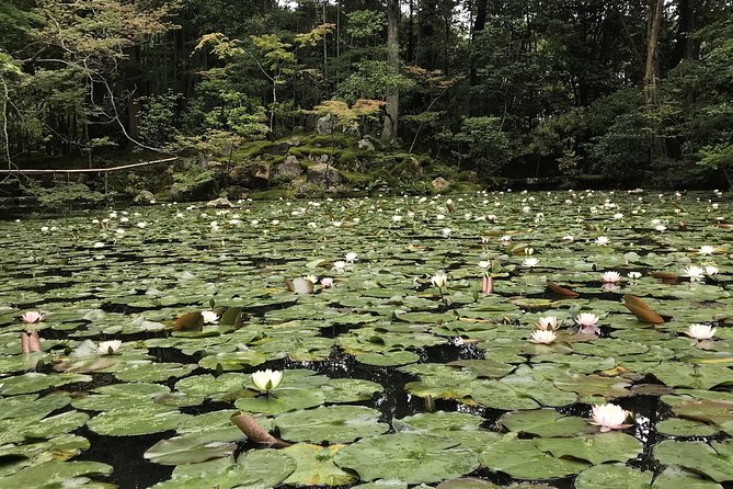 Kyoto: The Path Less Traveled (Private) - Why This Kyoto Day Feels Different