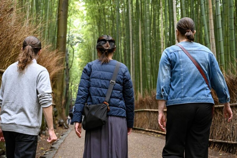 Kyoto to Arashiyama Day Trip - Private & Personalized - Okochi Sanso Villa, a garden worth the uphill walk