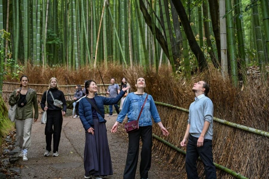 Kyoto to Arashiyama Day Trip - Private & Personalized - Tenryū-ji and the first walk through the bamboo