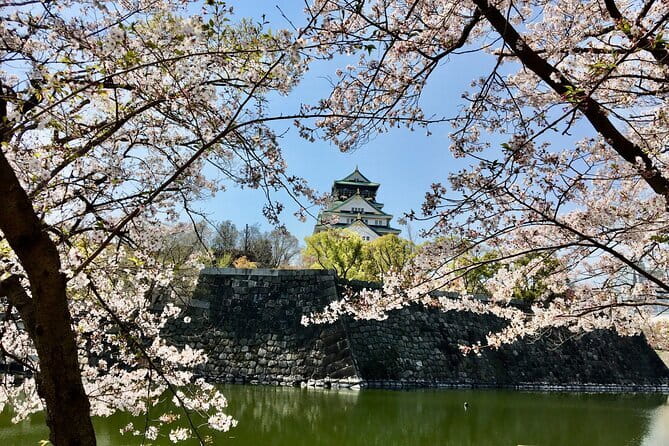 Kyoto Top Four Highlights Day Trip from Osaka or Kyoto - Arashiyama brings the day outdoors