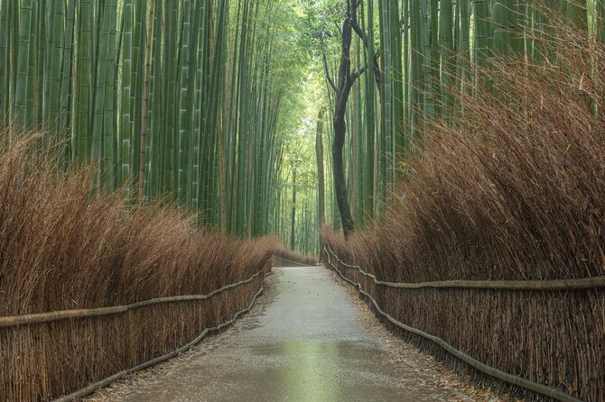 Kyoto top must-see Golden pavilion and Bamboo forest half-day Private tour - Kinkakuji: Kyoto’s bright opening scene