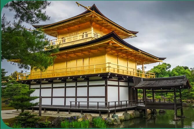 Kyoto tour 12 hours Private Nagoya pick up available - Driver support without a full guide