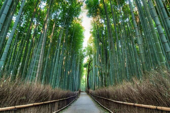 Kyoto tour with English Speaking Chauffeur - Gion offers old Kyoto atmosphere without a long museum visit