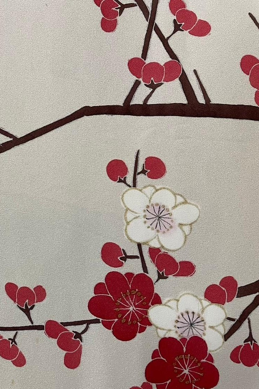 Kyoto: Traditional Yuzen Dyeing Experience - Price, timing, and practical value