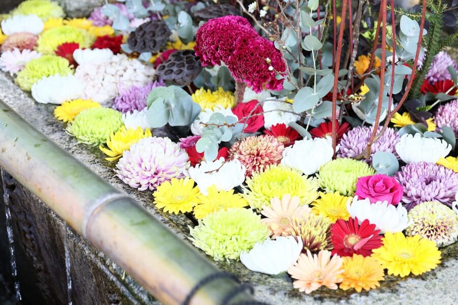 Kyoto: Try Nishijin Weaving in the Oldest Geisha District - Who will enjoy this experience most