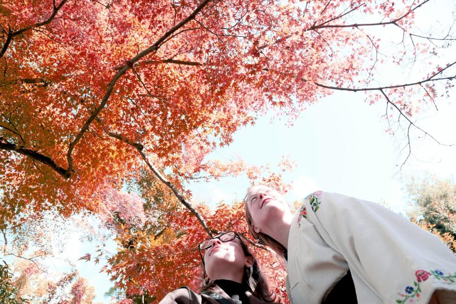 Kyoto: Try Nishijin Weaving in the Oldest Geisha District - Small details that improve the visit