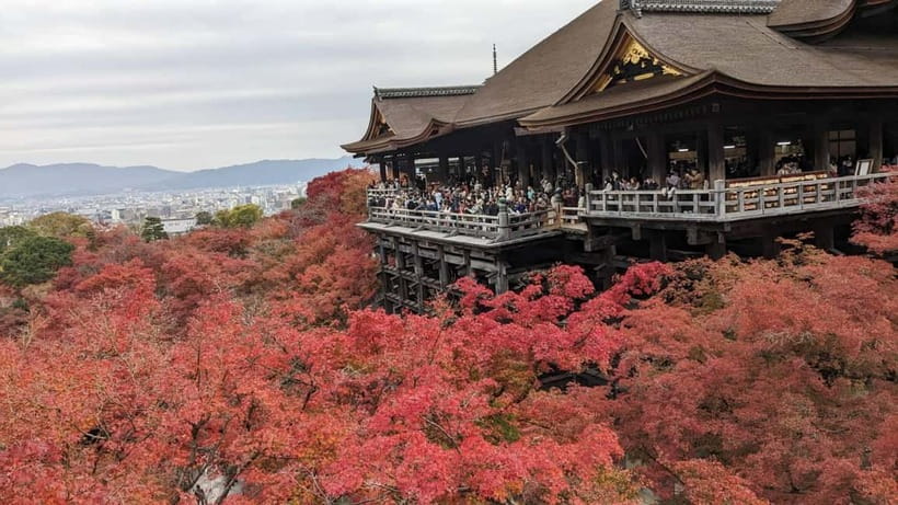 Kyoto: Walking tour Kiyomizu, Geisha District with a Local - Starting beside Shijo Bridge