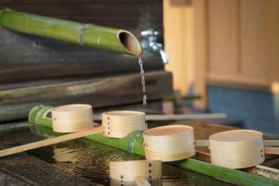 Zen Meditation and Garden Tour at a Temple with Lunch