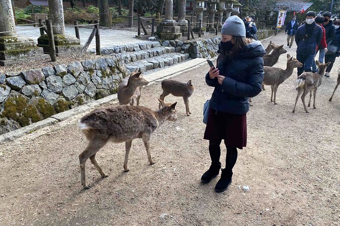 Nara 6hr Private Tour with Government-Licensed Guide - Wakakusayama Hill and the view