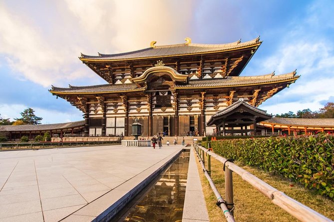 Nara Afternoon Tour from Kyoto or Osaka - Why Nara makes a strong afternoon from Kyoto