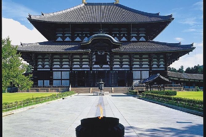 Nara Afternoon Tour from Kyoto or Osaka - Meeting Nara’s deer in the park
