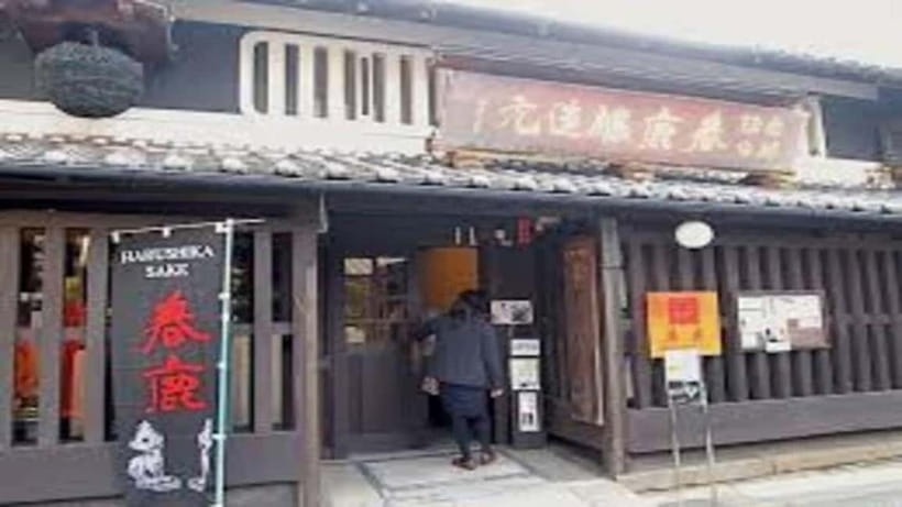 Nara attractive tour with local guide (4hours) - Nara Park, deer crackers, and photo time