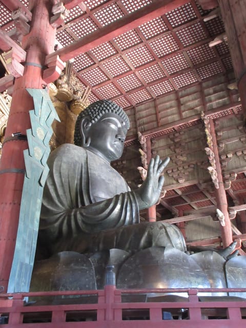 NARA: Budda gigante, Cervi liberi nel parco (Guida italiana) - Punti chiave da sapere