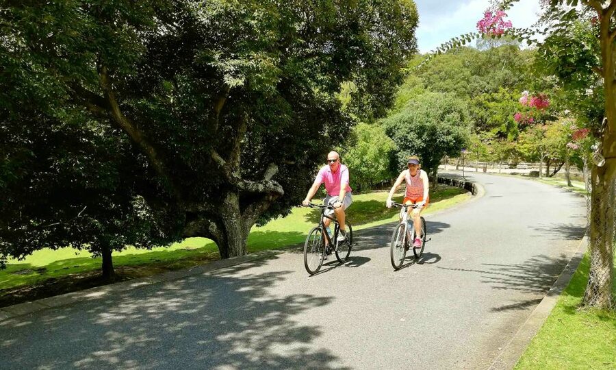 Nara: City Highlights Shared Group or Private Bike Tour - Nandaimon Gate, a grand approach to Todai-ji